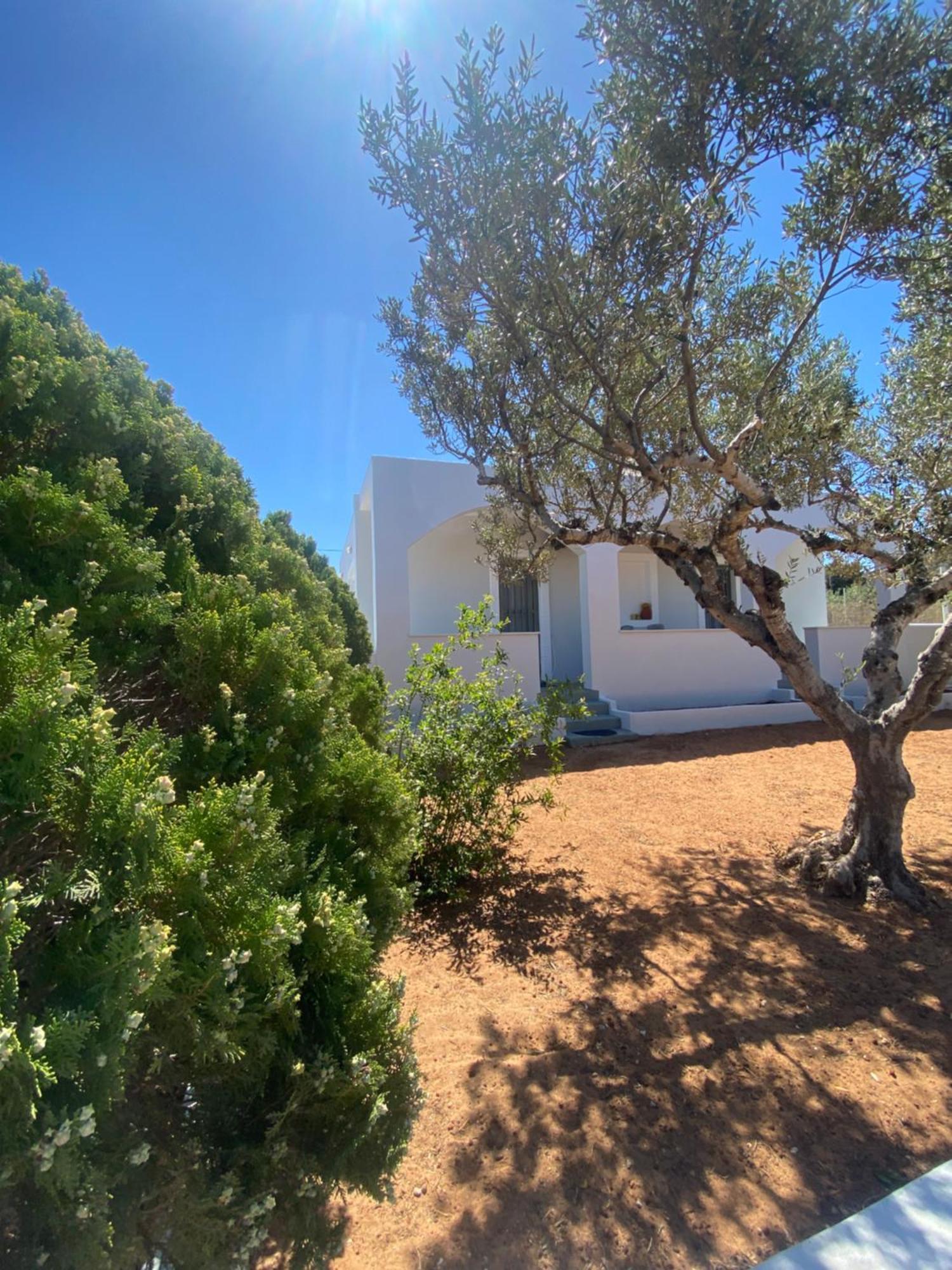 Okio - Μονοκατοικία Δίπλα Στη Θάλασσα Elafonissos Exteriér fotografie